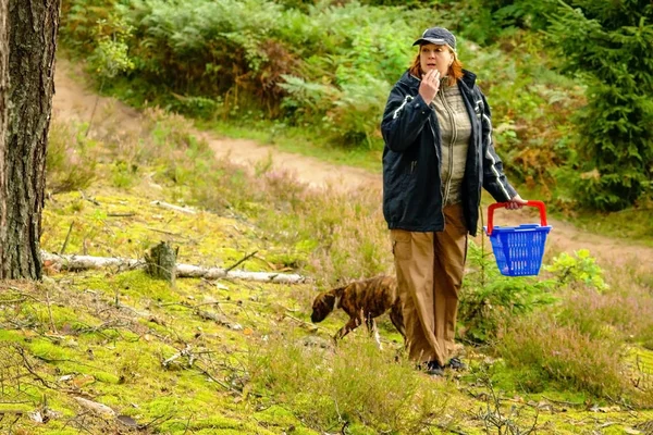 在森林里寻找蘑菇的中年妇女和狗 — 图库照片