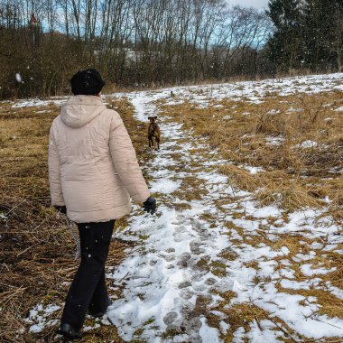Ormanda köpek ile kışın yürüyen kadın