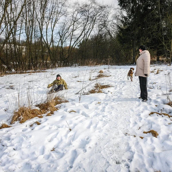 Mulher Com Filho Cão Caminhando Floresta Inverno — Fotografia de Stock