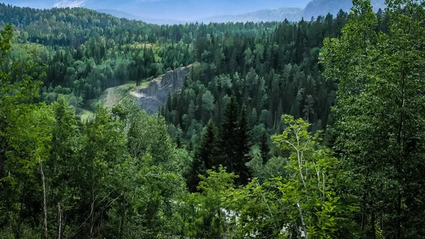 ノルウェーへの旅行 山地および道路の林 — ストック写真