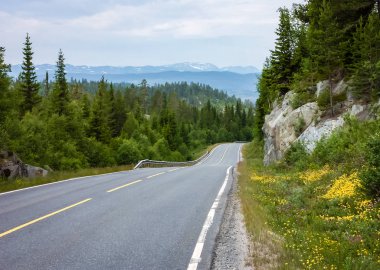 Norveç'e seyahat. Ormanlar dağlar ve yollar