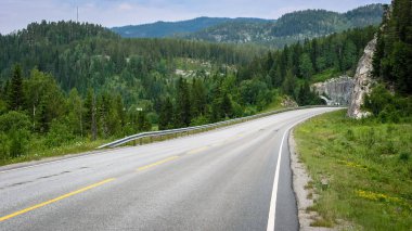 Norveç'e seyahat. Ormanlar dağlar ve yollar