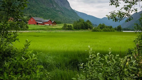 Viajar Noruega Montañas Ríos Lagos Valles — Foto de Stock