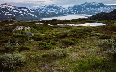 Norveç'e seyahat. Dağlar, nehirler, göller ve vadiler