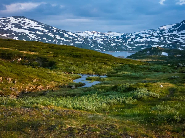 Norveç Seyahat Dağlar Nehirler Göller Vadisi — Stok fotoğraf