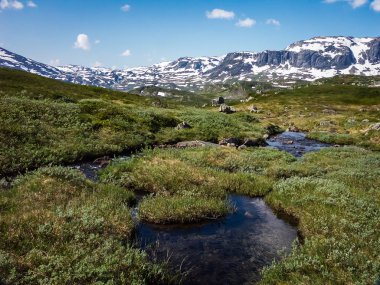 Norveç'e seyahat. Dağlar, nehirler, göller ve vadiler