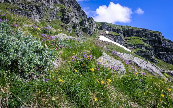 Travelling Norway Mountains Rivers Lakes Valleys — Stock Photo, Image