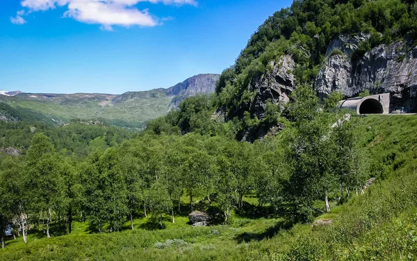 Viajar Noruega Camino Montaña — Foto de Stock