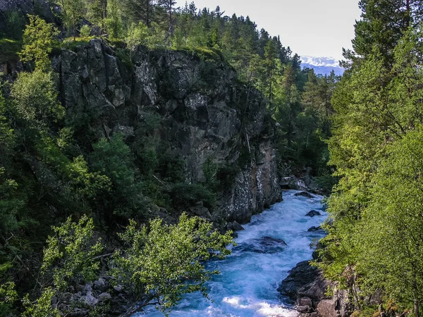 Resa Till Norge Mountain River — Stockfoto
