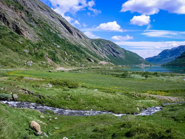 Viaggiare Norvegia Montagne Fiumi Laghi Fiordi Valli — Foto Stock