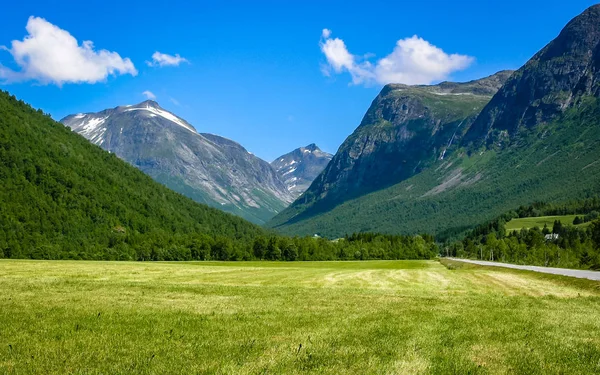Путешествие Норвегию Лес Горах — стоковое фото