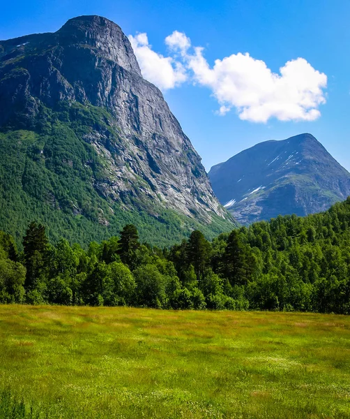 Viajar Noruega Bosque Las Montañas — Foto de Stock