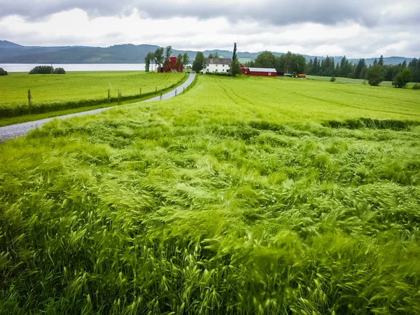 Norveç Seyahat Dağlar Göller Fiyordlar Vadiler Köyü Deniz Kenarı — Stok fotoğraf