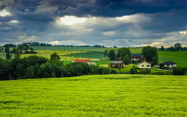 Norveç Seyahat Dağ Köyü — Stok fotoğraf