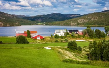 Norveç fiyortları güzellik. Tarım alanları. Köy deniz kenarı