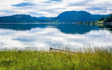 Norveç fiyortları güzellik. Köy deniz kenarı