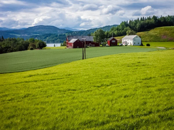 Schoonheid Van Noorse Fjorden Dorp Aan Kust Landbouwgronden — Stockfoto