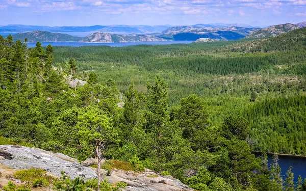 Beleza Dos Fiordes Noruegueses Sobrecultivado Com Costa Florestal — Fotografia de Stock