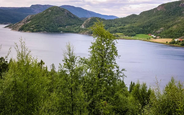 Aldeia na costa do fiorde norueguês — Fotografia de Stock