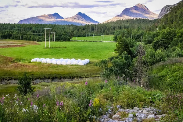 Jordbruksmark i Norge med balar av hö — Stockfoto