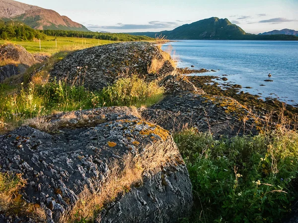 Stony shore of the fjord in Norway Stock Image