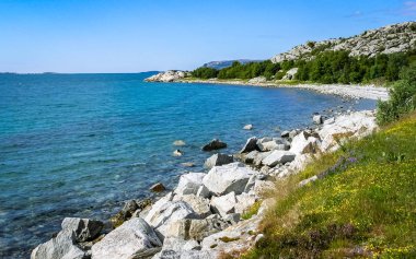 Taş Fiyordu kıyısında Norveç'te