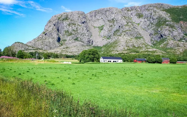 Zemědělská půda v Norsku s balíky sena — Stock fotografie