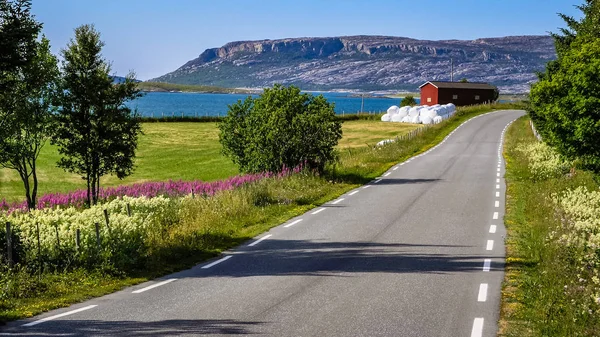 Villaggio sulla costa del fiordo norvegese, in lontananza si — Foto Stock