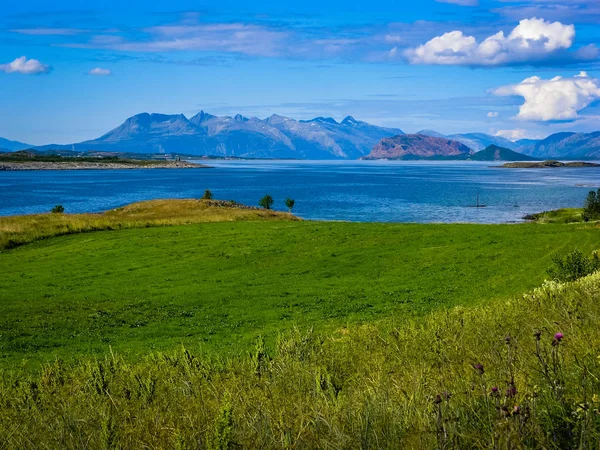 Norveç Fiyordu kıyısında — Stok fotoğraf