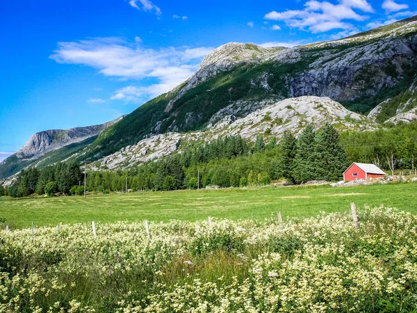 Tierras agrícolas en Noruega — Foto de Stock