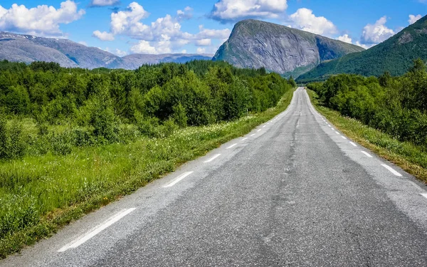 Strada in Norvegia che attraversa la foresta — Foto Stock