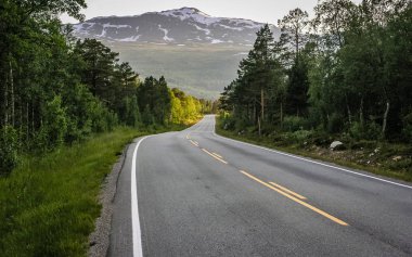 Norveç'teki dağ yolu ormanın içinden geçiyor..