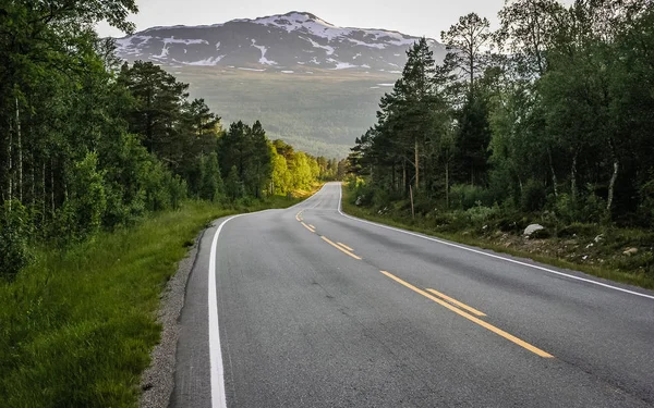 La strada di montagna in Norvegia passa attraverso la foresta . — Foto Stock