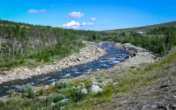 Fiume di montagna in una zona boscosa — Foto Stock