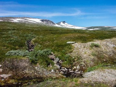 Norwa ormanlık bir alanda Dağ nehri