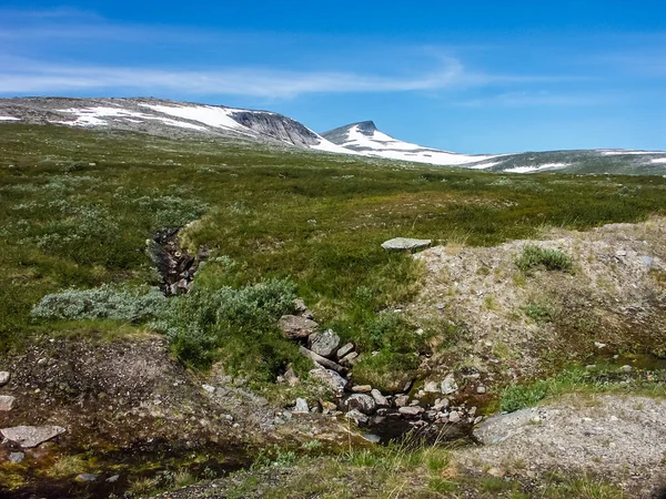 Fiume di montagna in una zona boscosa di Norwa — Foto Stock