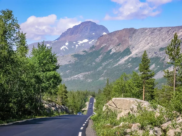 La strada di montagna asfaltata in Norvegia passa attraverso la foresta . — Foto Stock