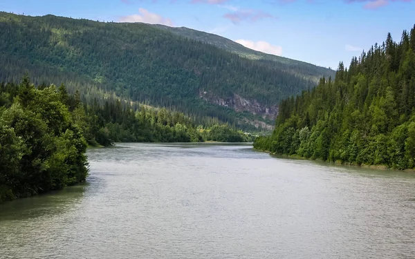 Gebirgsfluss in einem bewaldeten Gebiet — Stockfoto