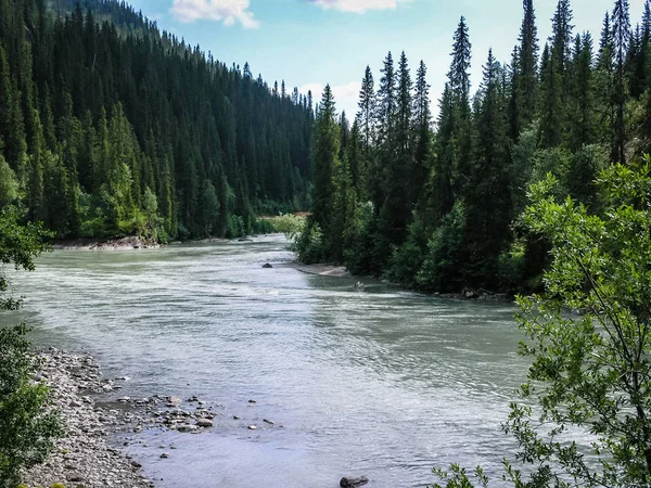 Gebirgsfluss in einem bewaldeten Gebiet — Stockfoto