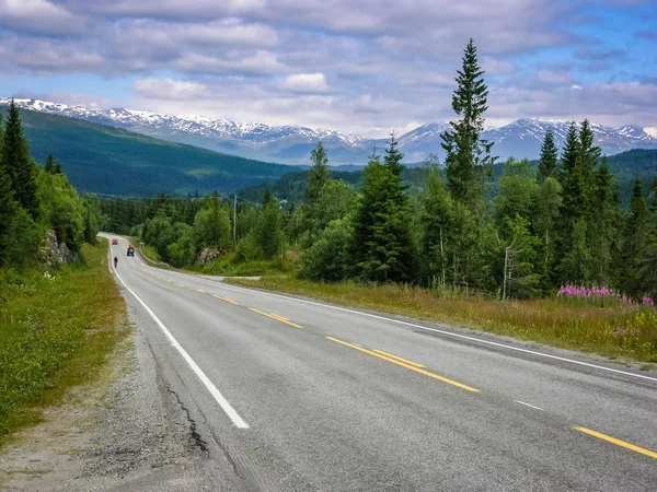 The asphalted mountain road of Norway passes through the forest.