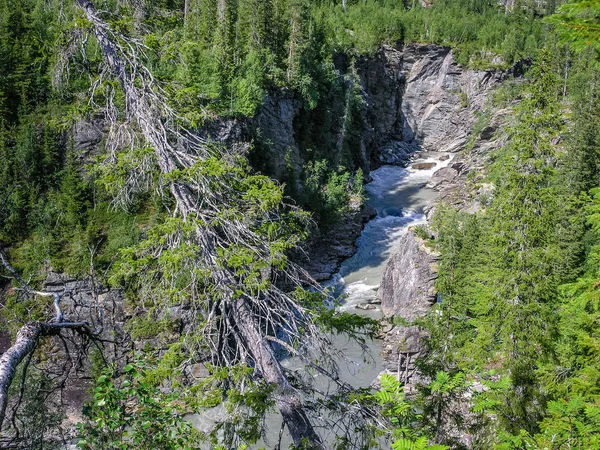 Fiume di montagna in una zona boscosa — Foto Stock