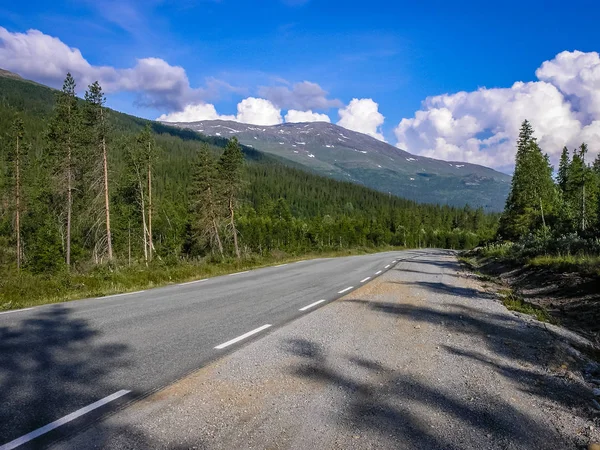 Norveç asfalt dağ yolu orman geçer. — Stok fotoğraf