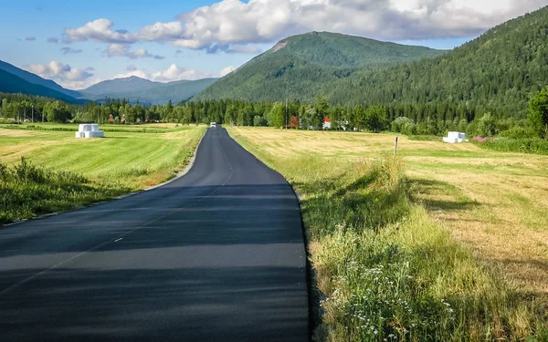 La strada di montagna asfaltata in Norvegia passa attraverso la foresta . — Foto Stock