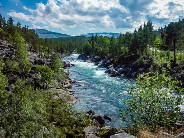 Norwa ormanlık bir alanda Dağ nehri — Stok fotoğraf