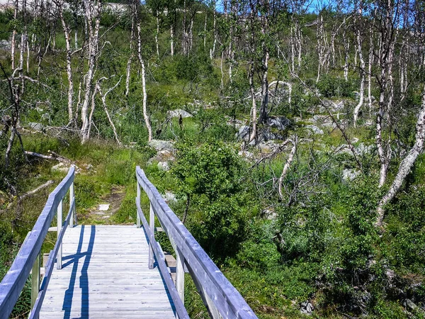Górskie szlaki Norwegii, drewniany most — Zdjęcie stockowe