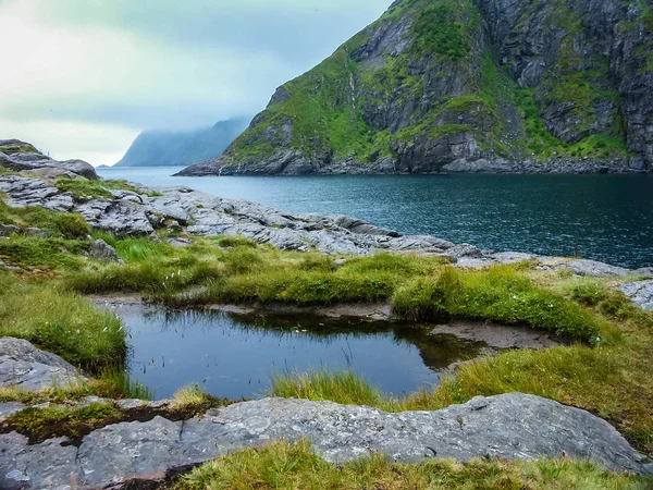 Vegetação modesta nas montanhas da Noruega, aglomerados de pedras — Fotografia de Stock