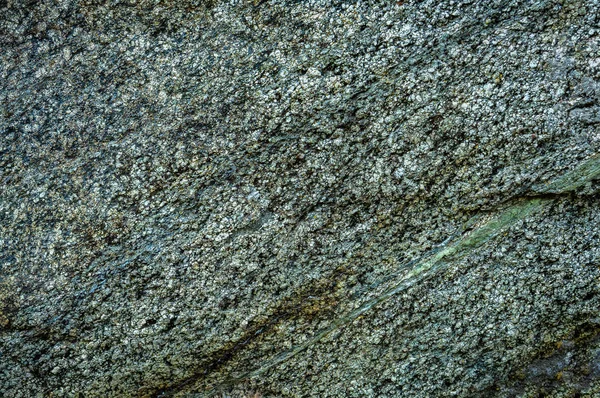 Υφή της φυσικής πέτρας άγρια — Φωτογραφία Αρχείου