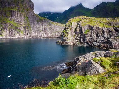 Norveç fiyortunun kayalık kıyısı. 