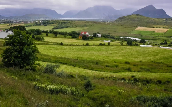 Dorp aan de fjord met een pier in Noorwegen. Bewolkte dag — Stockfoto