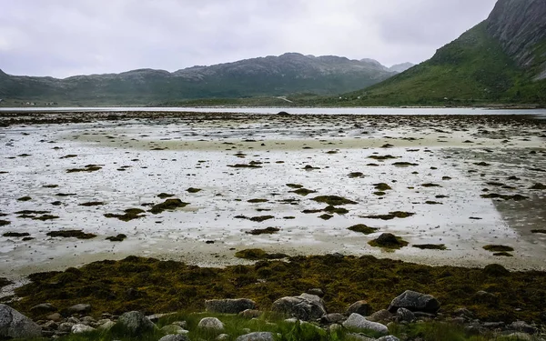 En by på fjordens klippiga strand i Norge — Stockfoto